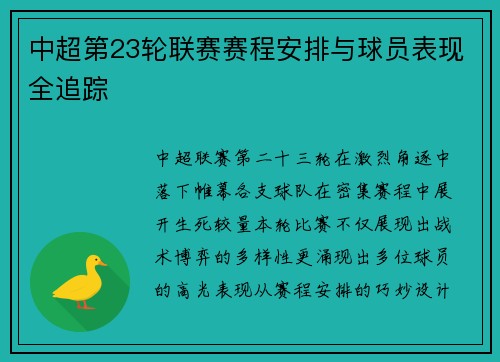 中超第23轮联赛赛程安排与球员表现全追踪